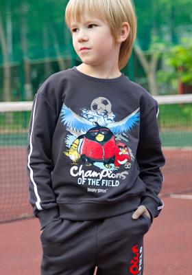 Свитшот и брюки Angry Birds для мальчика